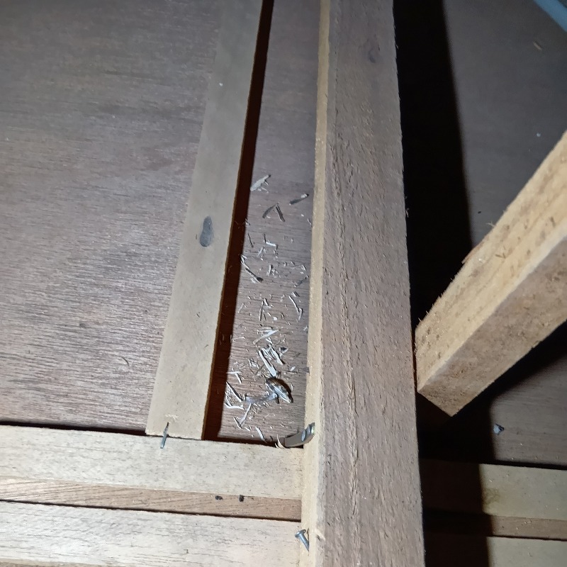 ネズミ駆除の施工事例（宮崎県宮崎市糸原）