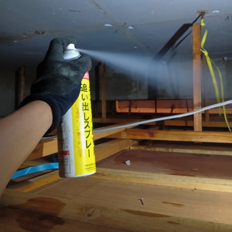 屋根裏に忌避スプレーを散布