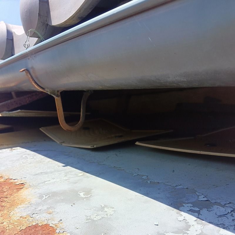 アライグマ駆除の施工事例（三重県伊賀市市部）