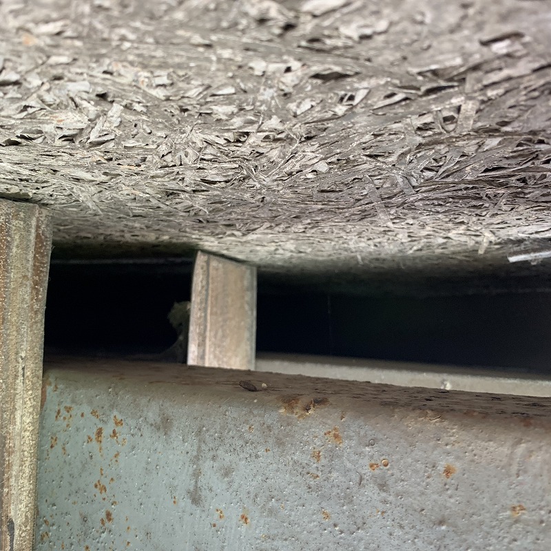 ハクビシン駆除の施工事例（岐阜県本巣市数屋）