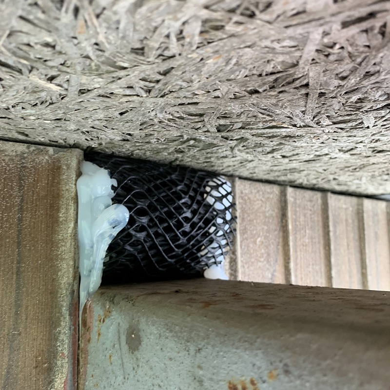 梁と柱のすき間を金網とパテで封鎖