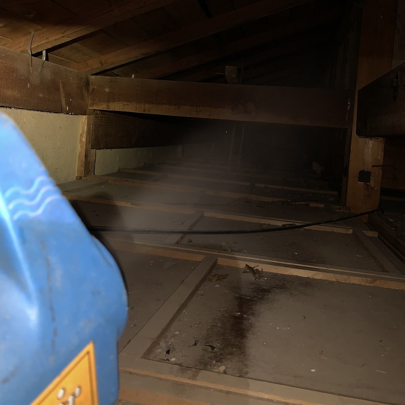 噴霧器で屋根裏に薬剤を散布
