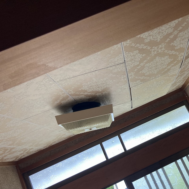 アライグマ駆除の施工事例（滋賀県甲賀市甲南町野尻）