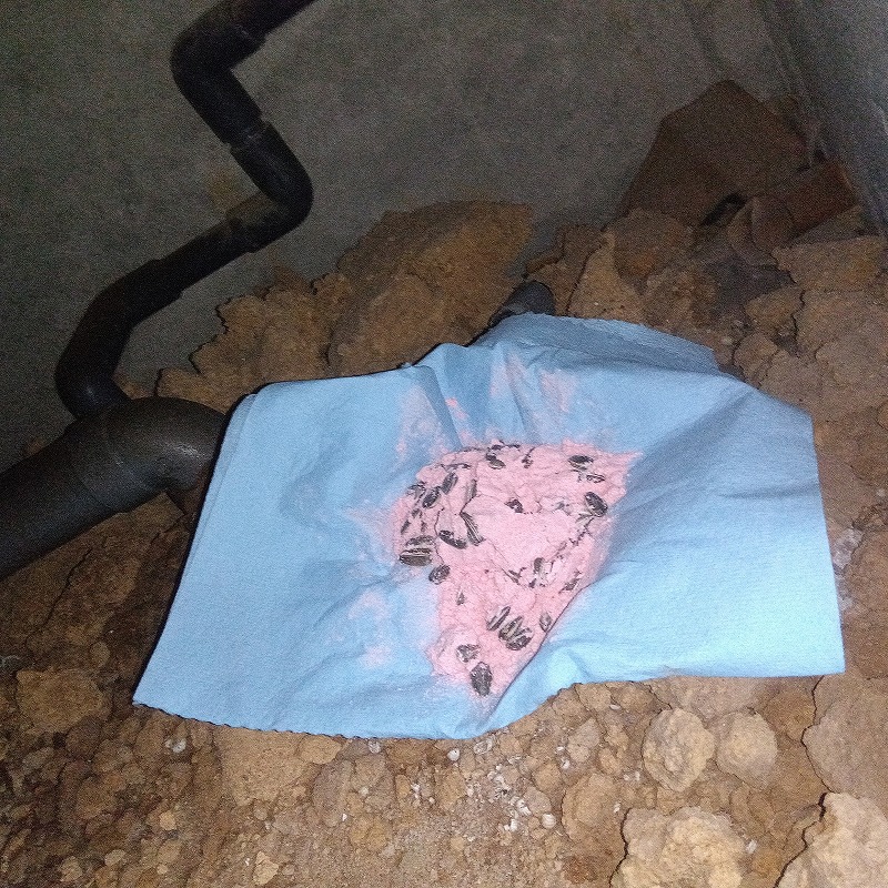 床下に殺鼠剤を設置した様子