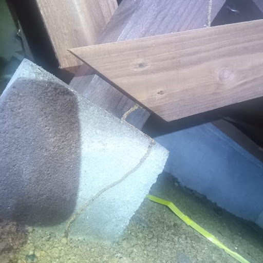 築年数30年のシロアリ駆除の施工事例（山口県宇部市西岐波）