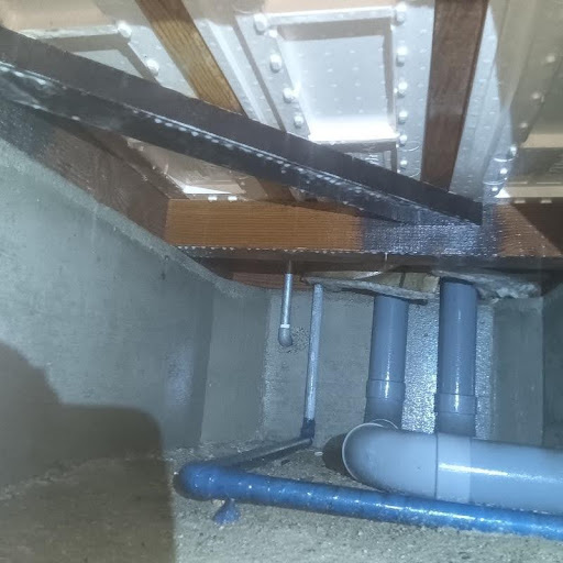 床下の建材に腐朽・カビが発生している