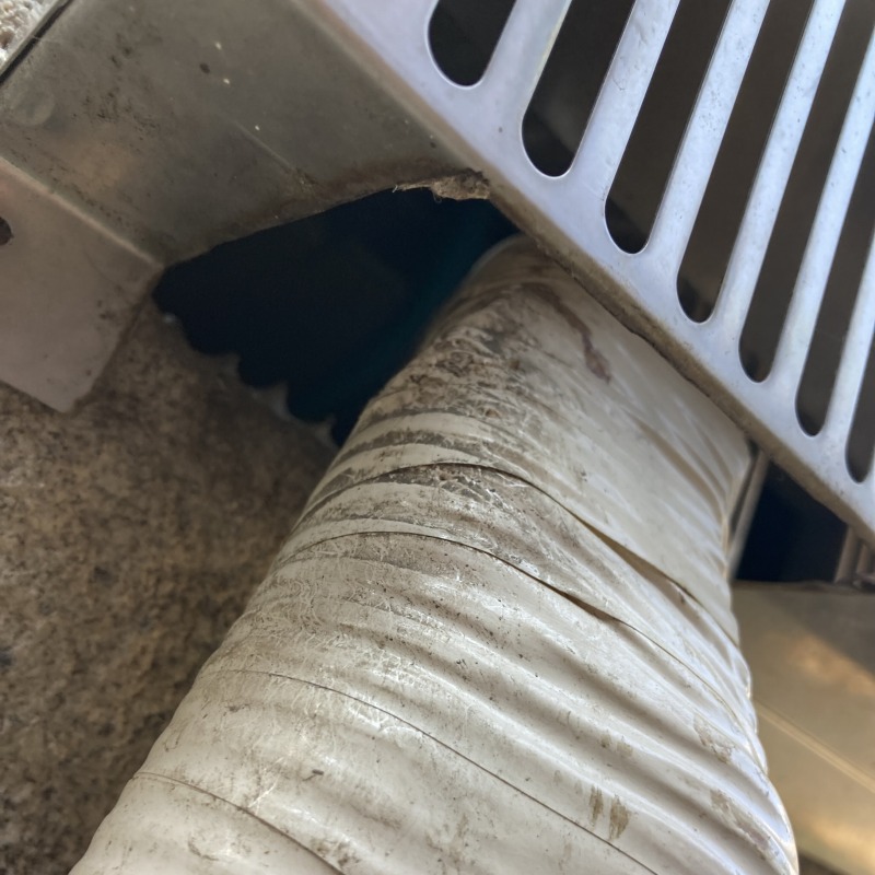 イタチ駆除の施工事例（愛知県一宮市今伊勢町宮後）