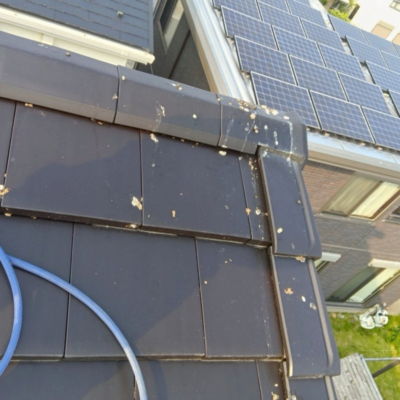 屋根上のフン害状況