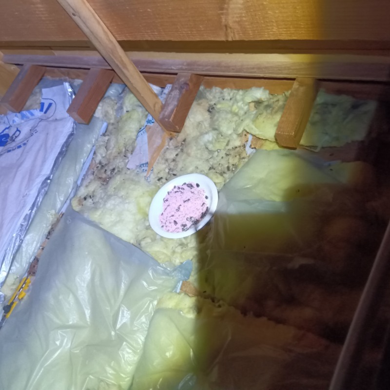 ネズミ駆除の施工事例（広島県安芸高田市高宮町房後）