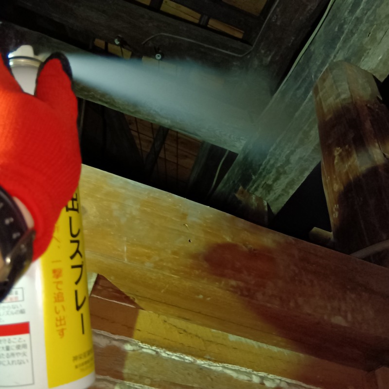 アライグマ駆除の施工事例（佐賀県杵島郡白石町築切）