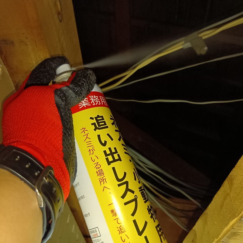 屋根裏に忌避剤を散布する様子