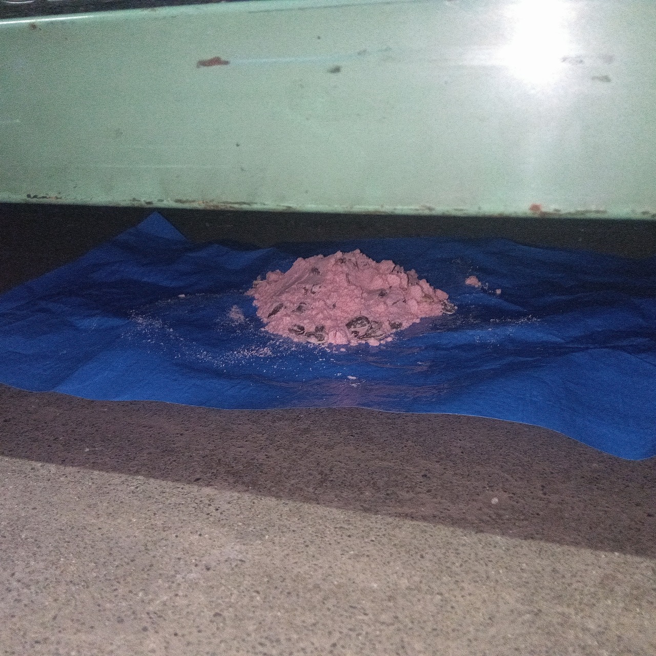 ネズミ駆除の施工事例（神奈川県藤沢市）