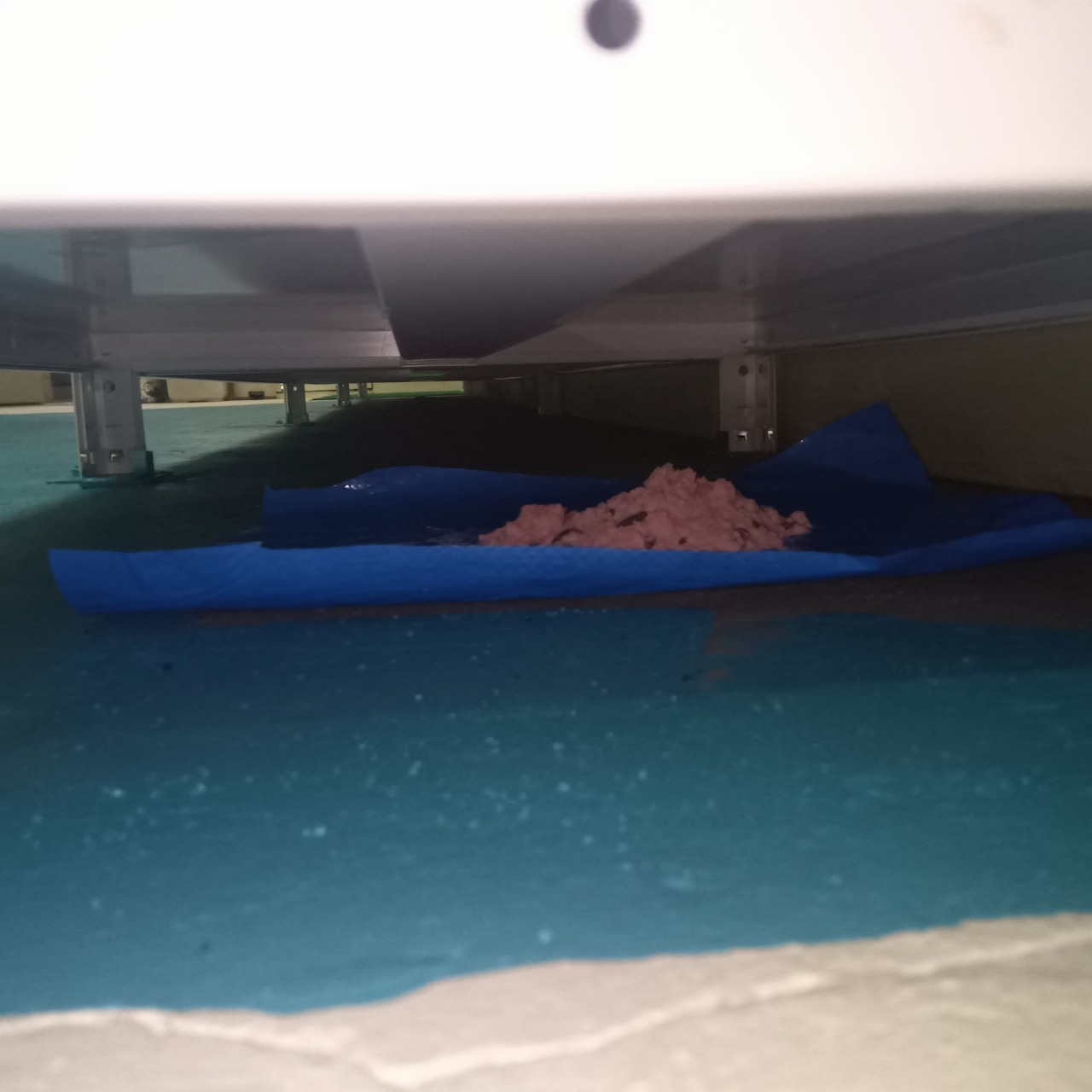 殺鼠剤を設置した様子