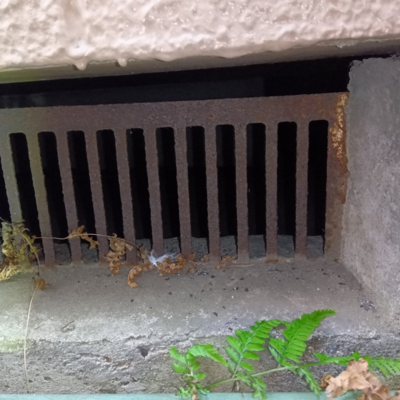 ネズミ駆除の施工事例（神奈川県相模原市中央区中央）