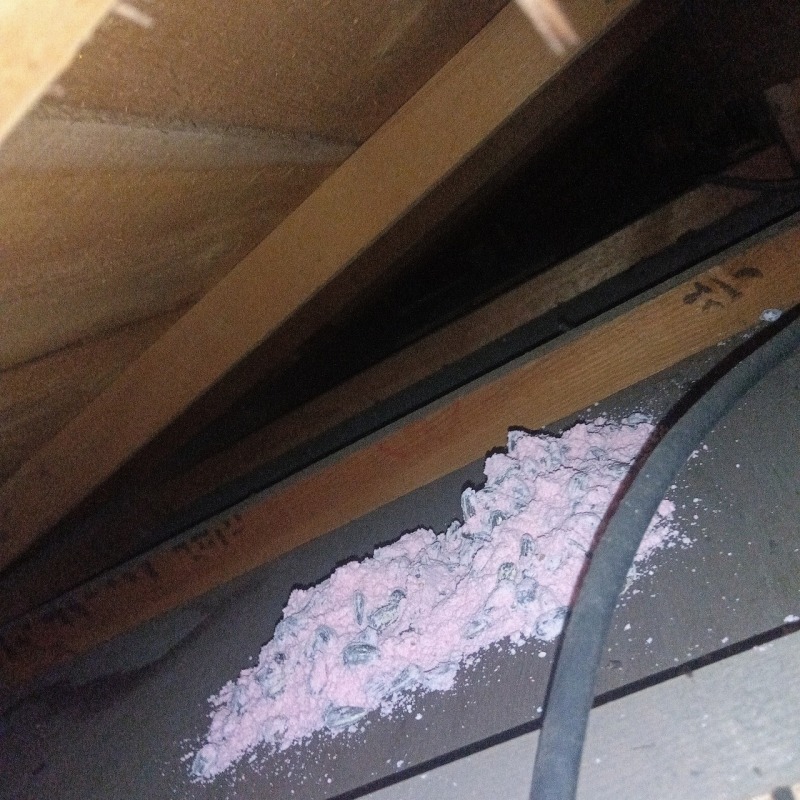 屋根裏の殺鼠剤