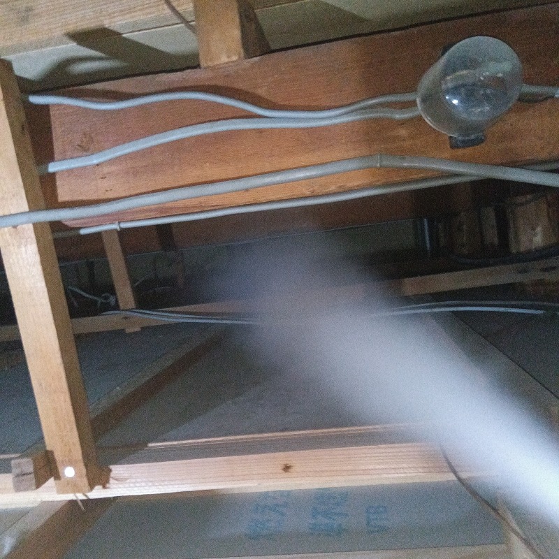 屋根裏に忌避残を散布する様子