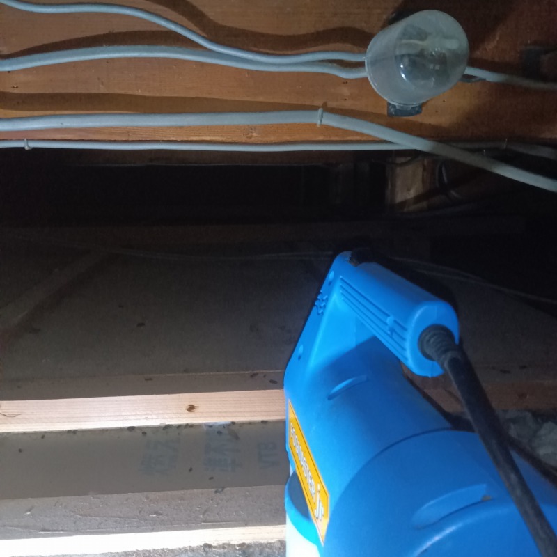 除菌・殺虫剤を散布する様子