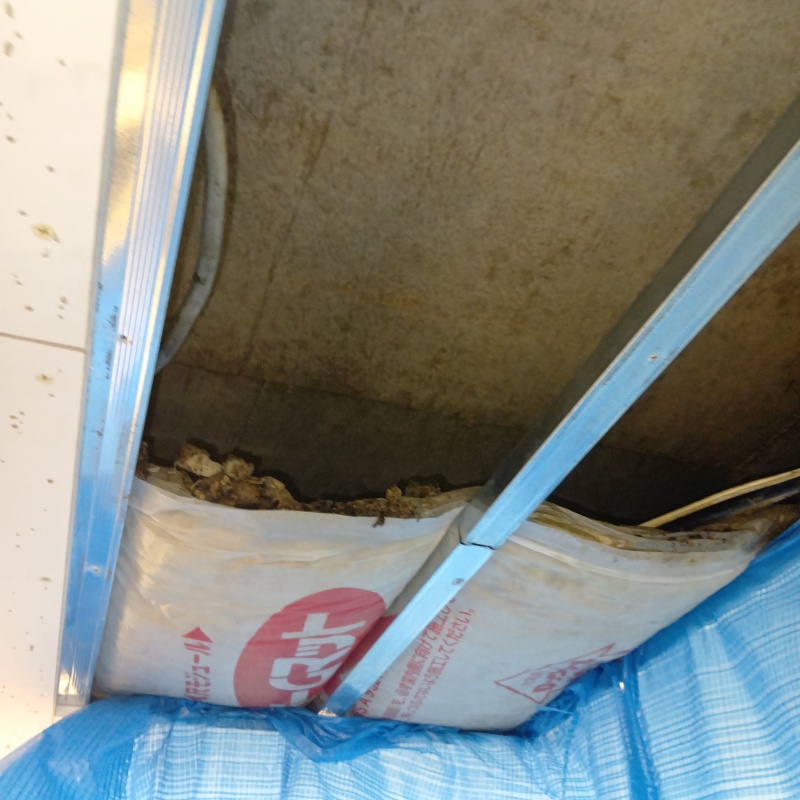 点検口を設置した様子