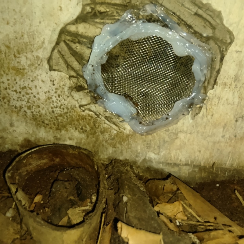 侵入口を金網とパテで封鎖した様子