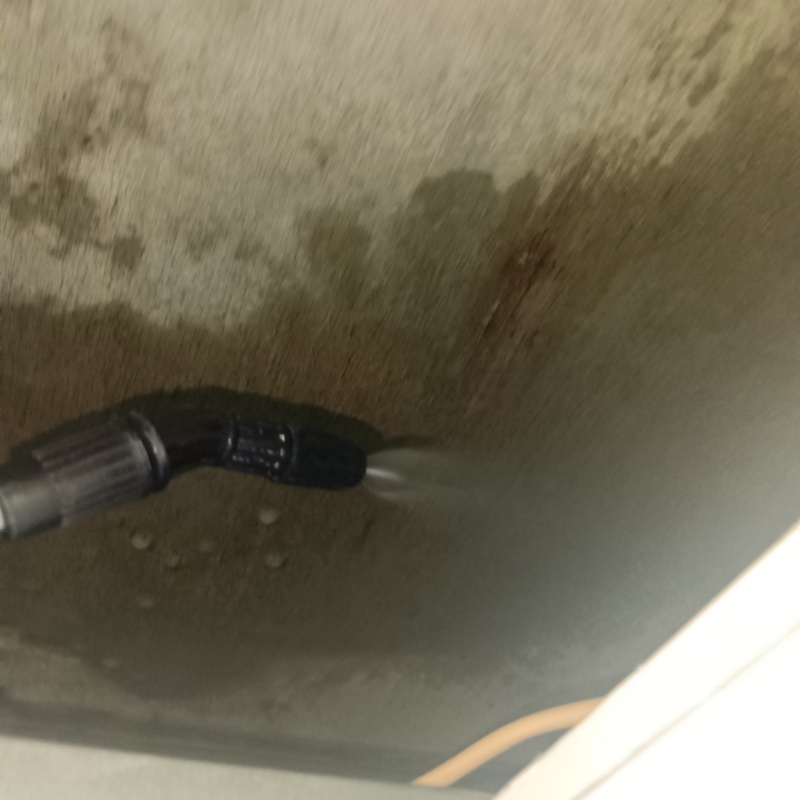 フン害箇所を清掃・消毒している様子