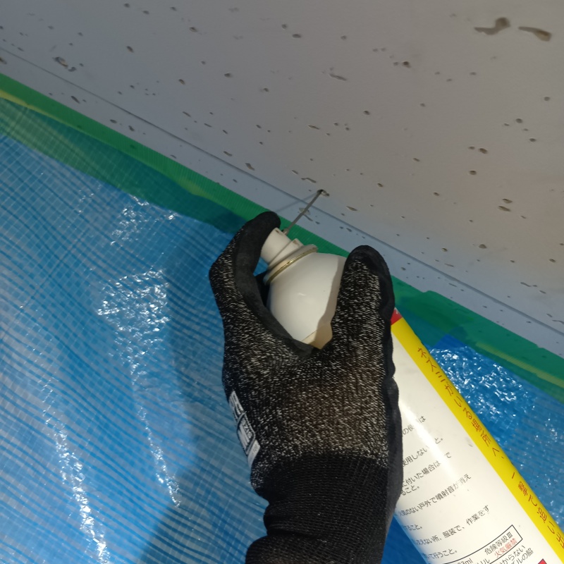 天井裏の害虫対策の様子