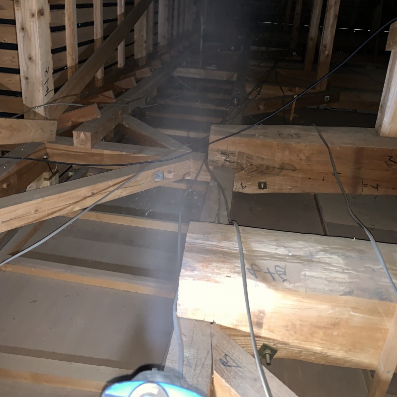 屋根裏に除菌・殺虫剤を散布