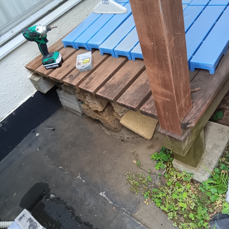 ハクビシン駆除の施工事例（東京都世田谷区）