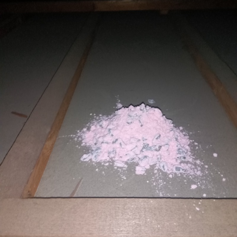 殺鼠剤を設置した様子