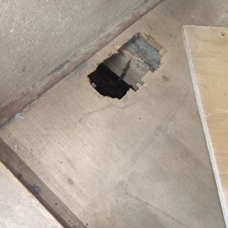ネズミ駆除の施工事例（愛知県一宮市）