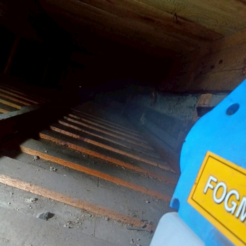 除菌・殺虫祭を散布