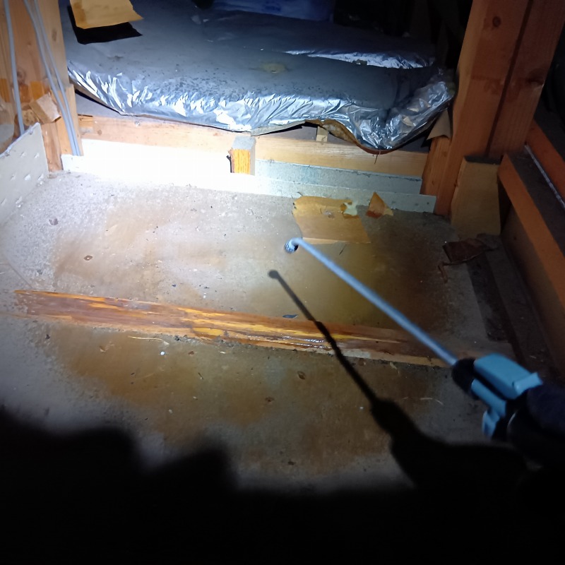 屋根裏に殺虫剤を散布する様子