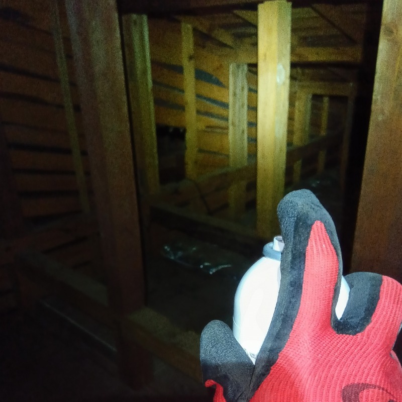 屋根裏に忌避剤を散布する様子