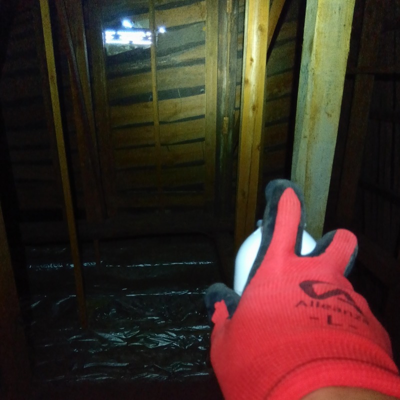 屋根裏に忌避剤を散布する様子