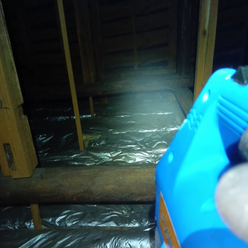 屋根裏に除菌・殺虫剤を散布する様子