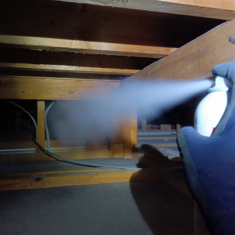 屋根裏に忌避剤を散布する様子