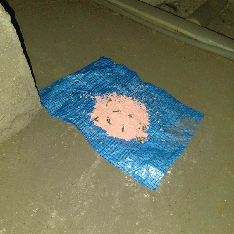 床下に設置した殺鼠剤