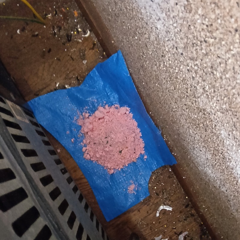 ネズミ駆除の施工事例（愛知県名古屋市天白区福池）