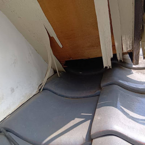 アライグマが開けた侵入口