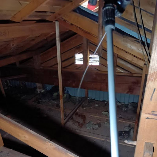 屋根裏のフン害の状況