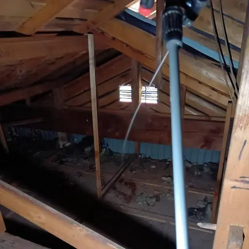 駆除方法イメージ