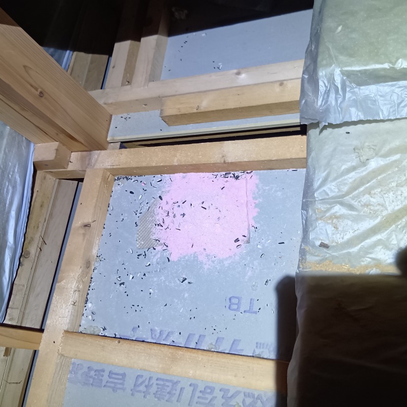 殺鼠剤を設置した様子