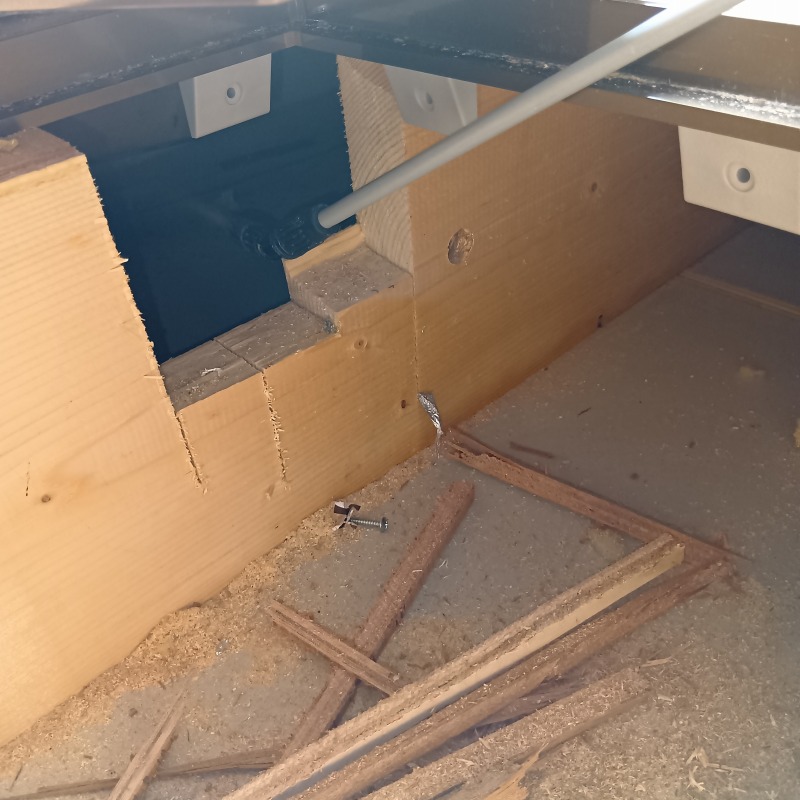 除菌・殺虫剤散布の様子