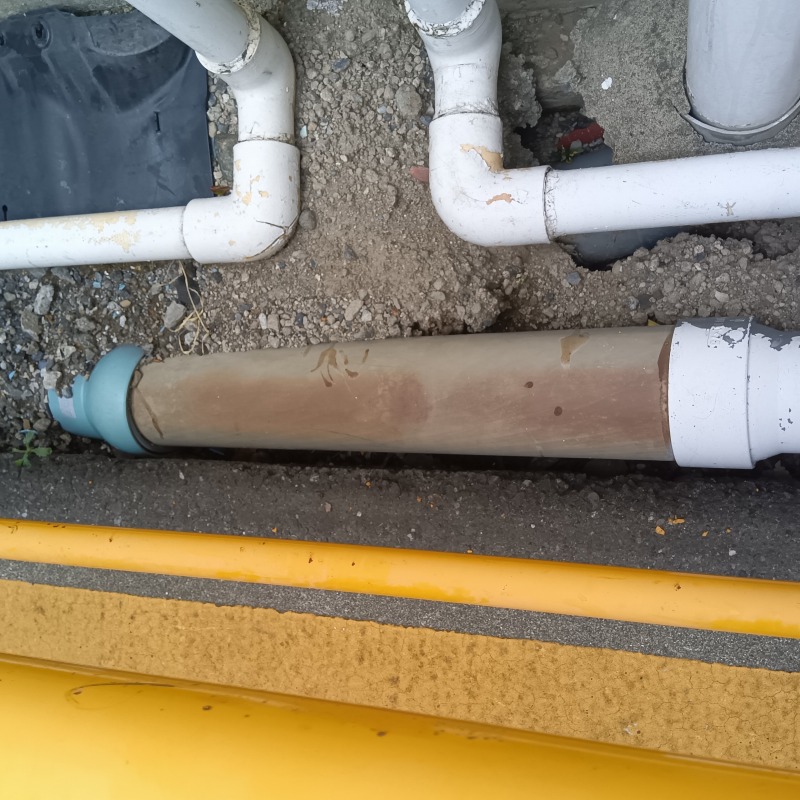 ネズミ駆除の施工事例（神奈川県横浜市金沢区）