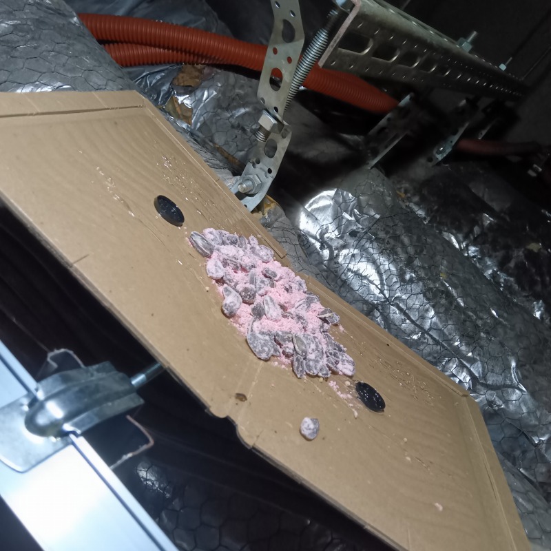 殺鼠剤と粘着シートを設置した様子