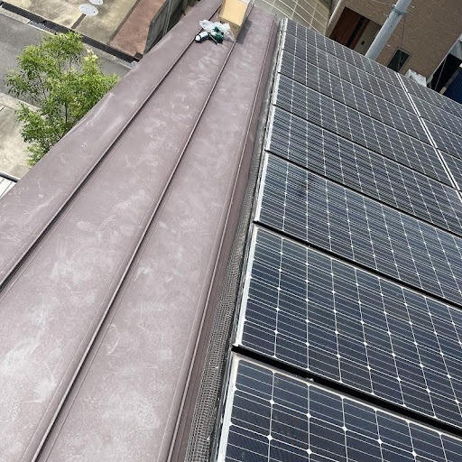 防鳥用の金網の設置状況