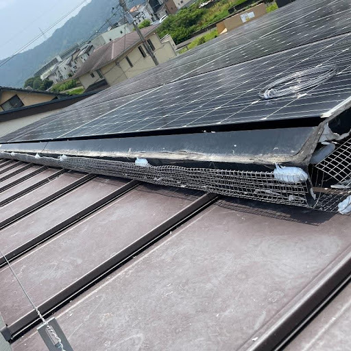 防鳥用の金網の設置状況