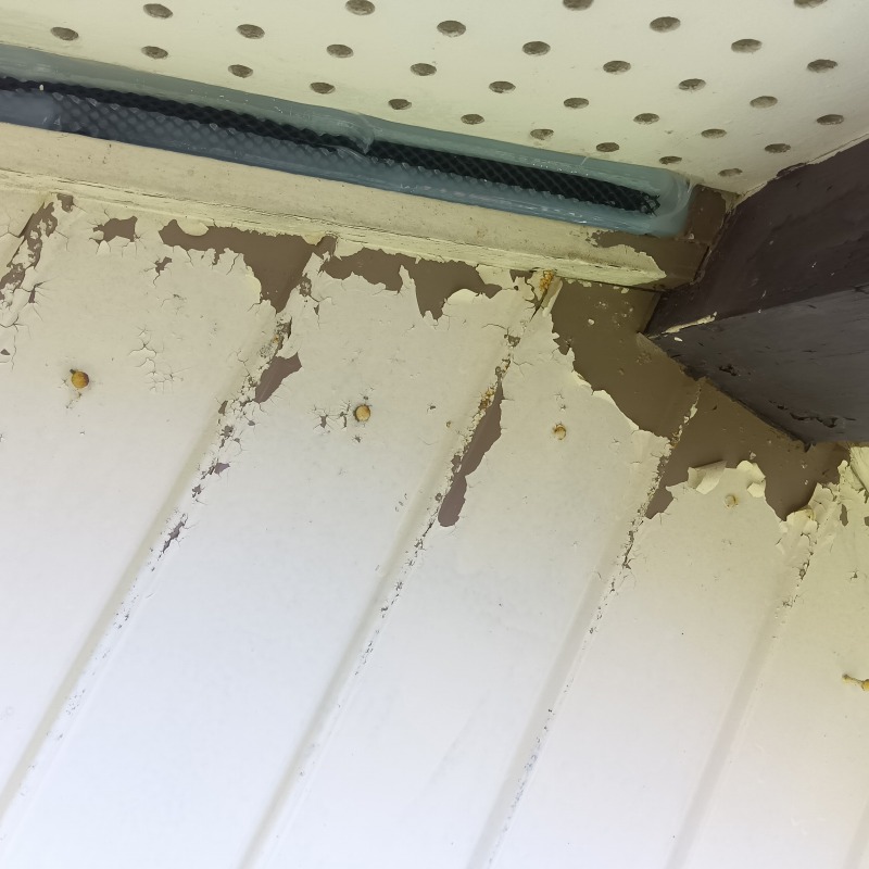 屋根のすき間をふさいだ様子