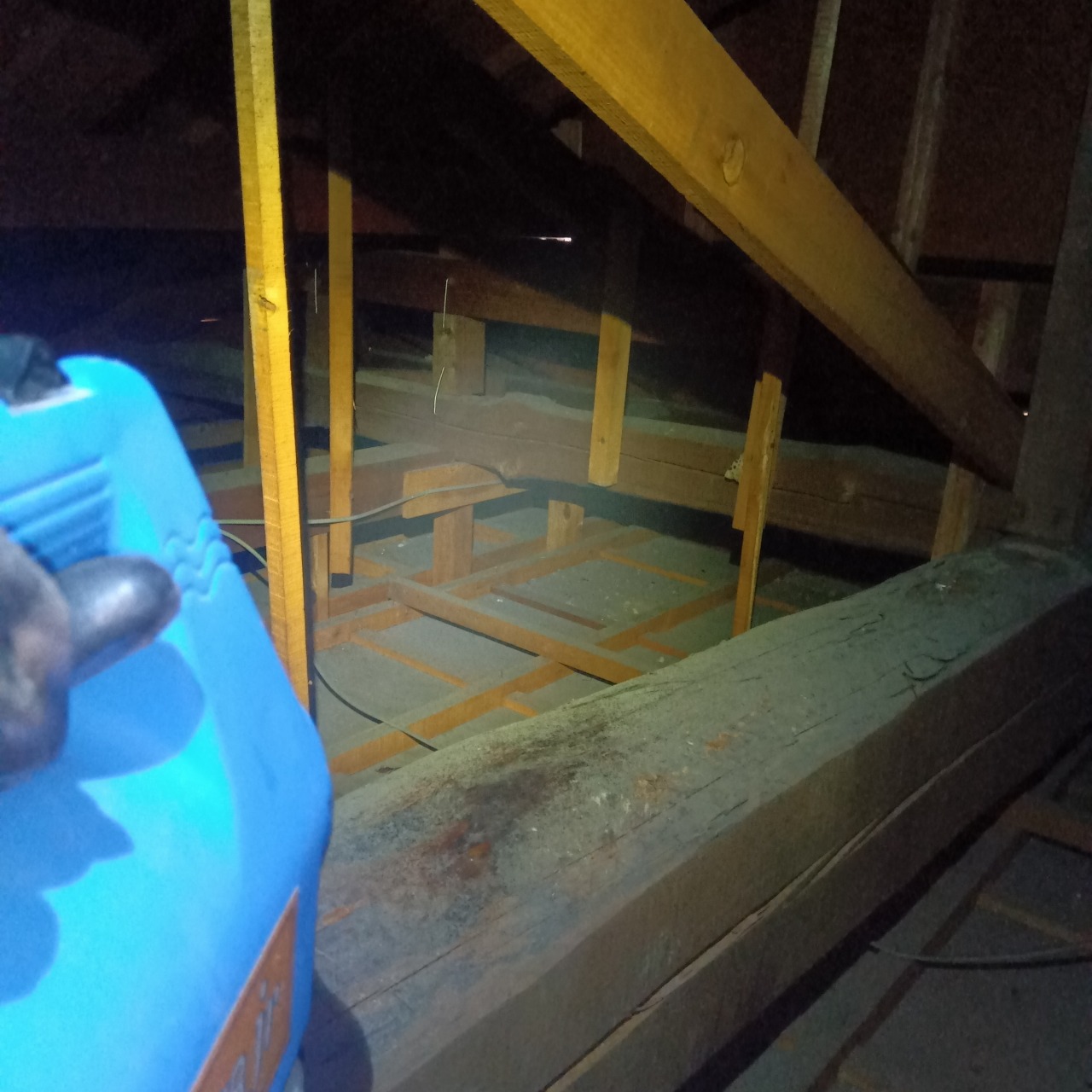 屋根裏に除菌・消臭剤を散布