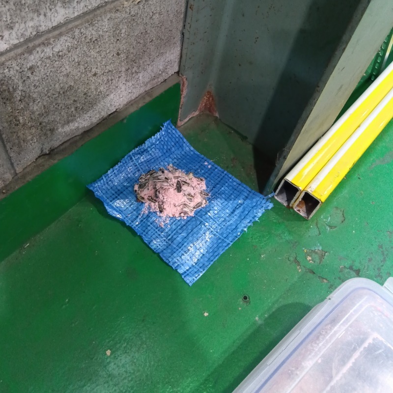 ネズミ駆除の施工事例（京都府城陽市）