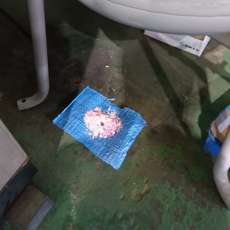 殺鼠剤を設置した様子